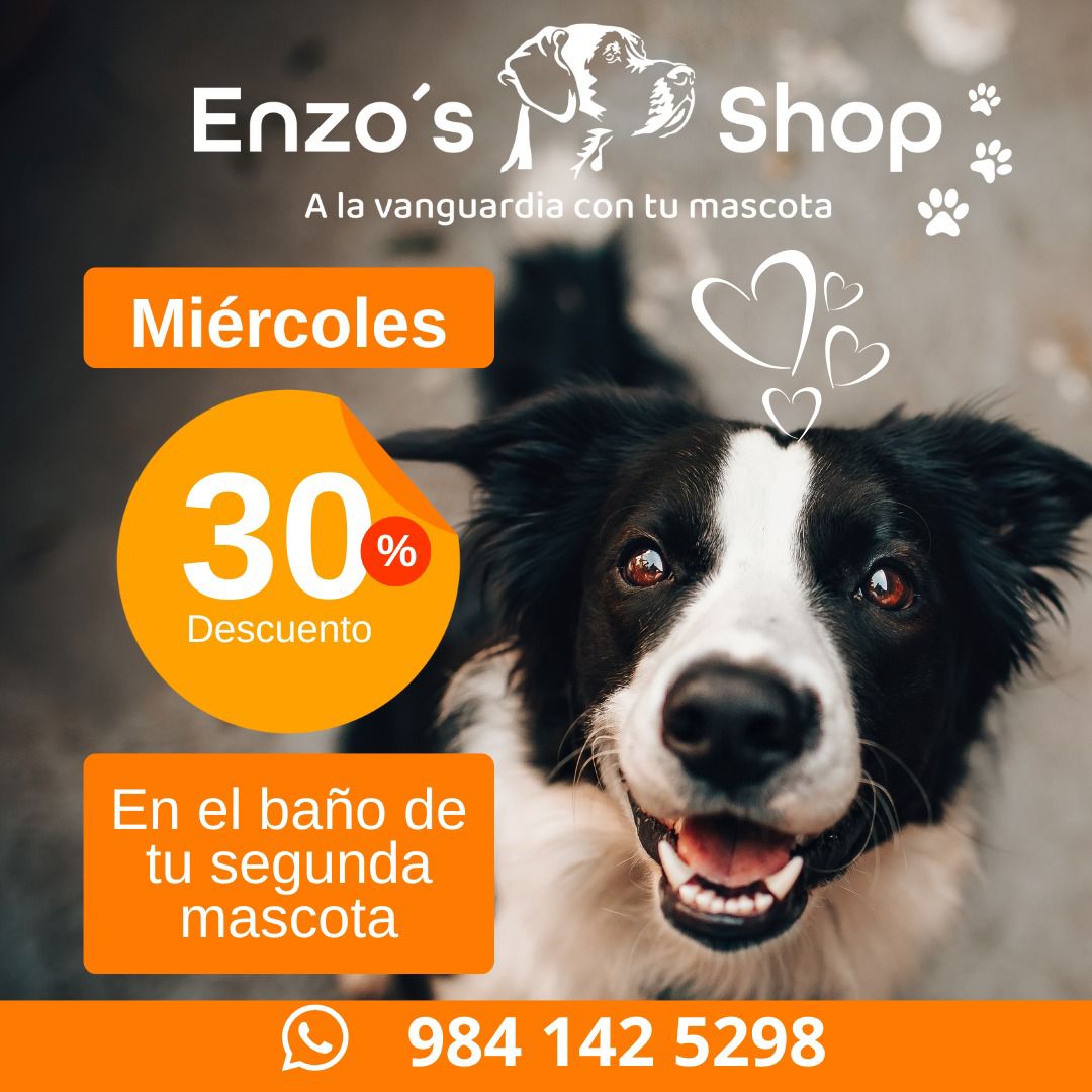 Enzo’s Shop logo